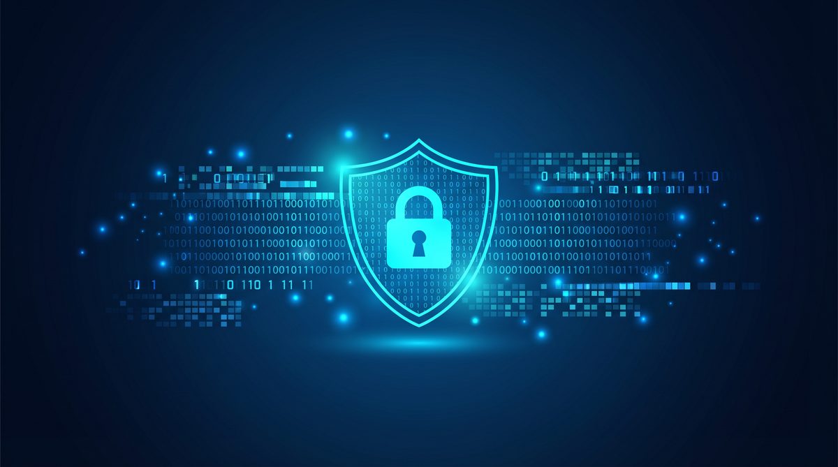 离线加速器隐私安全保护